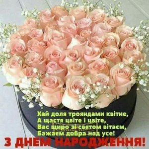 2e8a2c8fb91e70d829a7a53faf1851d5