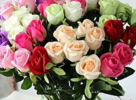 6a04d72412c0ab9fce25f78b60872d50