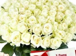 6e07fe5b6553c160f6acc9de82aded80