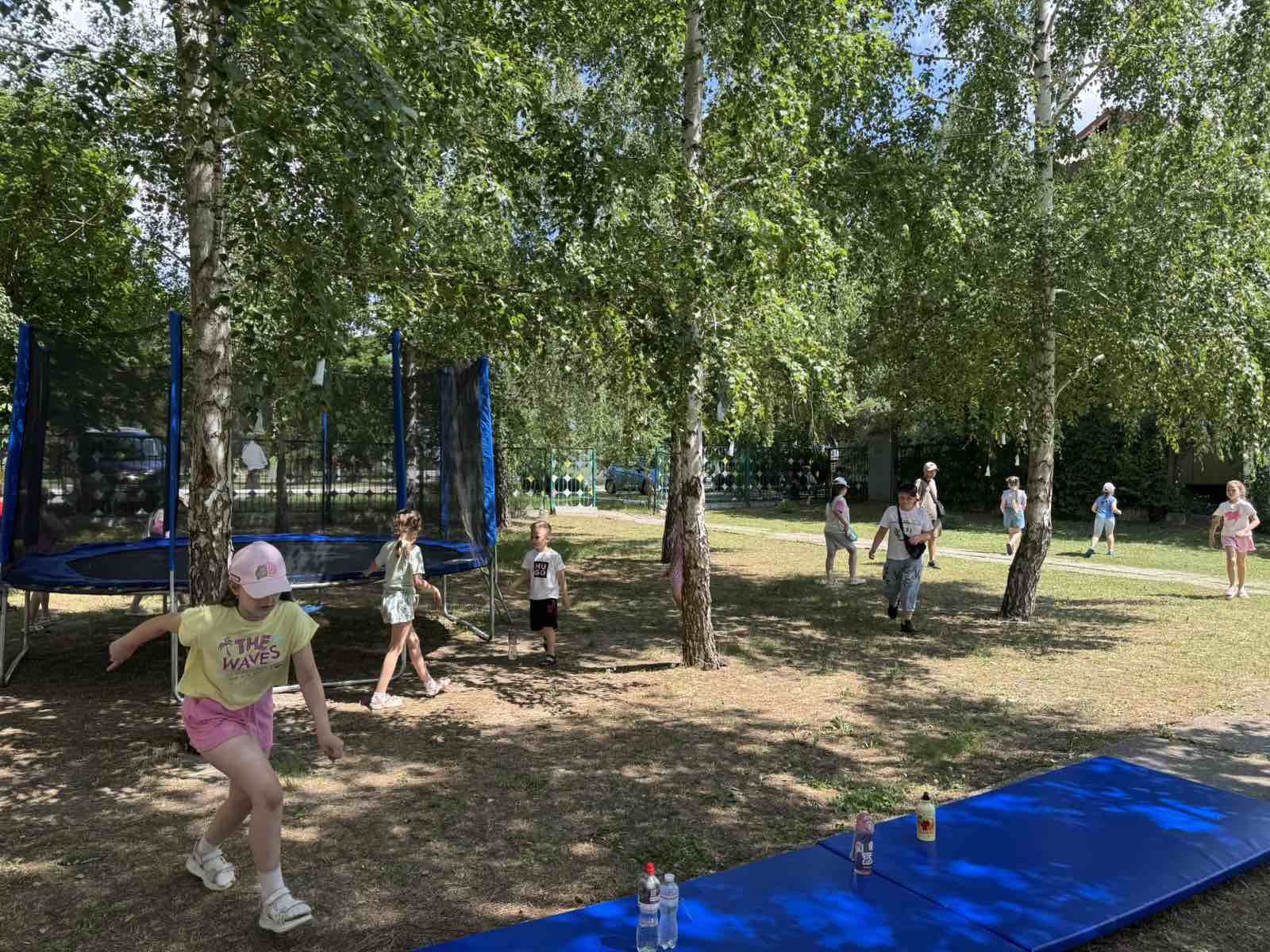 зображення Viber 2026 06 11 12 08 33 581